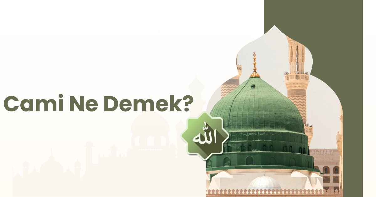 Cami Ne Demek?